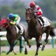 【高松宮記念(G1)展望】武豊モズスーパーフレアVS龍王2世ダノンスマッシュ! 藤田菜七子「復活」スノードラゴンにも注目!!