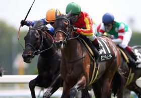 【徹底考察】セントウルS（G2）　ダンスディレクター「ビッグアーサーとの『直接対決』過去2戦を徹底比較！雌雄を決する『3つ』のポイント」