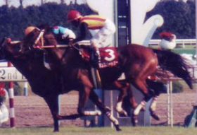 武豊騎手「とても残念」オークス馬ダンスパートナー死す……「華麗なるダンス一族」の誇りを胸にカイザーバルが秋華賞（G1）に出陣