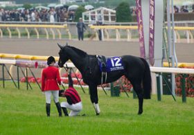 リオンディーズより心配なM.デムーロ騎手……絶不調の「きっかけ」と、やはり『情熱大陸』が!?