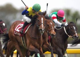 金鯱賞（G2）なら格上!? デニムアンドルビー長期休養明けで不安だらけ、それでも「アノ脚」が出れば……