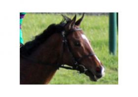 【皐月賞（G1）回顧】「史上最強世代」に新王者誕生！ ディーマジェスティの視線はすでに「世界」を見据える!?