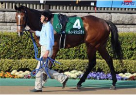 （気は早いけど）ディーマジェスティに凱旋門賞勝ってほしい声続出！  実績十分な「陣営」と「社台グループへの反感」？