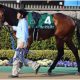 重賞穴馬データ~セントライト記念・ローズS~