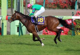 【徹底考察】セントライト記念（G2） ディーマジェスティ「世代唯一の『二冠』が狙える皐月賞馬。ここは通過点もデータが示す『勝率』は意外にも……」