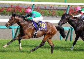 「3歳3強」の一角、ディーマジェスティが圧巻の追いを披露！ 上がり馬も「真の強豪」の前には成すすべなし？