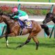 重賞穴馬データ~セントライト記念・ローズS~