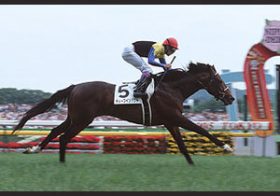 リアル「三冠配合」実現！？ディープインパクト×アパパネの「12冠ベビー」デビューへ馬主はすでに海外遠征を視野か