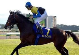 愛ダービー制覇でディープインパクト「世界」制圧！ 日仏勝利に続き、圧倒的1番人気サクソンウォリアー出陣！最大のライバルは……