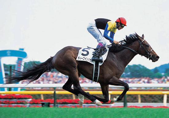 ③◆　競馬　JRA　◆　ディープインパクト　◆　ファイテン　RAKUWAネック◆ RAKUWAネックS 3LINE [Phiten] | ダーツショップ ダーツ屋