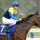 凱旋門賞の記憶~2012・2013オルフェーヴル~ 果敢なる2度の挑戦。勝利を確信した1年目、欧州の力に屈した2年目