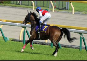 JRA中山記念（G2）ディアドラ最大の弱点……打倒アーモンドアイへ「最高の結果でモレイラへ」ドバイ前哨戦