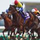 ブエナビスタ初仔にハープスター妹も。開業2年目で「超良血馬」続々……兄が三冠ジョッキーの「サラブレッド調教師」とは