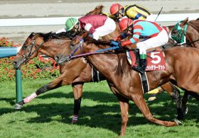 【重賞展望】「雷神」を背にモーリスが札幌記念（G2）へ出陣！世界のマイル王が2000mで見せる走りは可能性の「限界」か、更なる「進化」か