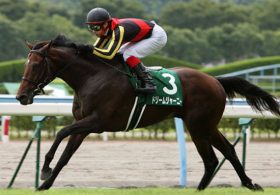 大勝利への近道!? データであぶり出す穴馬は～小倉記念・レパードS～