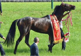 【中山記念回顧】”史上最強馬”が帰ってきた！　ドゥラメンテ『世界制覇』へ残る課題は”悪癖”の解消？