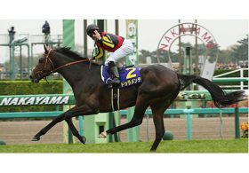 ドゥラメンテ「競走能力喪失」で引退決定……次代に血をつなぐ使命に