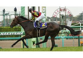 ドゥラメンテ始動「豪華すぎ」と話題の中山記念（G2）出走メンバーの”臨戦態勢”は……