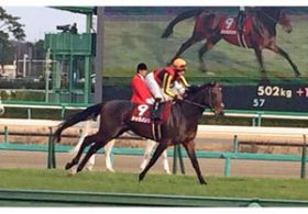 その強さ、鬼神のごとし――中山記念（G2）ドゥラメンテ完勝で、世界の頂点が見えた！