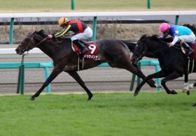 ドゥラメンテ「産駒評価高すぎ」生産界沸騰中！ ディープ以上の成功に不可欠なのは「近親配合」よりも……