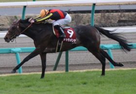 ドゥラメンテ、内出血と炎症で放牧へ。「引退」チラつくも、待ち受ける「茨の道」を考えると……？