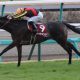 ここが絶好の舞台!? 宝塚記念(G1)で復活期するトーホウジャッカル、鞍上との絆で大物食いなるか!