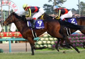 日本ダービー候補筆頭・サトノダイヤモンドも油断できない！　ハイレベルな3歳牡馬にまた一頭「超大物」出現か!?