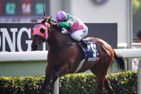 香港スプリント勝利のエアロヴェロシティ陣営「日本のスプリンターは弱い」発言!? 来春の高松宮記念に来日濃厚