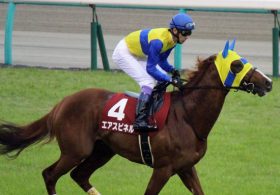 未だローテーションが不明なエアスピネル。「5強」の一角が狙うべきは「盾」か「菊」か……？