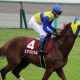 武豊騎手が「メッチャいい!」ついに『JRA全G1完全勝利』の大記録達成なるか!?日本競馬のレジェンドがデビュー間近のエアスピネル全弟を大絶賛!