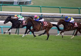 【徹底考察】皐月賞（G1）マカヒキ＆リオンディーズ＆エアスピネル　「今年の弥生賞のレベルを示す『とてもわかりやすいデータ』とは」