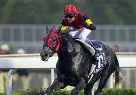 エイシンヒカリが「世界No.1」をキープ！ 最新国際レーティング発表も、本番はまだまだこれから？