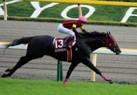 断たれた「夢の続き」が見たい……武豊騎手、エイシンヒカリと挑む欧州遠征にファンが期待する理由