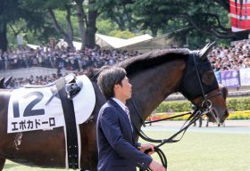 日本ダービー2着エポカドーロ「世代最強」を送り出した「厩舎力」……藤原英昭調教師の「神業」で秋の主役へ