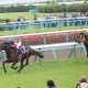 JRA戸崎圭太「空き巣王」→G1戦線で大活躍の秘密とは……2年ぶりリーディングもまだ可能な「理由」