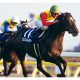 JRA「最強」エルコンドルパサーのNHKマイルC（G1）制覇を振り返る。あの「怪物」と戦えば……