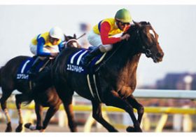 偉大な父にサヨナラ……”血の飽和”に抵抗し、「近親交配」の怪物を生み出したキングマンボ