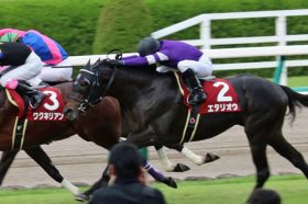 JRA日経賞(G2)エタリオウと初コンビの岩田康誠騎手に要注目!! まだまだ息子には負けられない!?