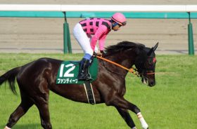 ローズS（G2）ファンディーナ皐月賞敗因は「強過ぎた」から？ 新たなる”伝説”の幕開けも陣営の「弱気コメント」に再び暗雲……