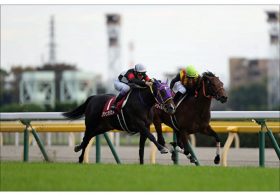 スプリングS（G2）武豊ファンタジストはステルヴィオになれるのか？ 龍王ロードカナロア産駒1800m克服の「武器」と、レジェンドの「見解」