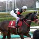 JRA「宝塚記念視野」オジュウチョウサン二刀流は続く!? JRAも大助かりか
