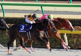 JRAでも地方でも、G1でもG3でも「2着」！ 5戦連続銀メダル獲得のベストウォーリアと他の「シルバーコレクター」との違い