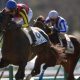 荒れに荒れる天皇賞・春(G1)に向けた準備は万全か!? 勝利の武器となれ、穴馬ガイド