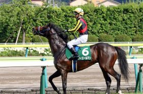 JRA菊花賞（G1）ルメール×フィエールマン「凶暴な鬼脚」が混戦を一刀両断か……「モノが違う」そのポテンシャル