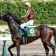 JRA武豊を惑わす「騎乗馬問題」ジャパンC(G1)「ちょっと待ったコール」でキーファーズ参戦!? “こだわり”が織りなす「三つ巴」に発展か