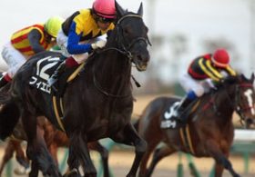 【徹底考察】マイラーズC（G2）　フィエロ「今年たった2勝の鞍上大抜擢は、本当にただのギャンブルなのか」