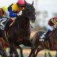 岩田康誠騎手が「ブエナビスタ級」と絶賛の素質馬参戦で話題のフローラS(G2)。頂上決戦オークスへ向かうのはどの馬か!