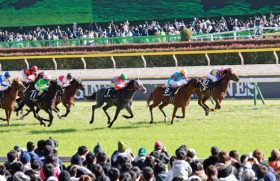 JRAの強行開催に競馬「ストライキ」の可能性……有馬記念後12月28日の競馬開催に「断固反対」なのはファンだけではなかった？