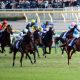 レイデオロ「有馬記念回避」濃厚にガックリ? 「ゆとりローテ」批判も体質を思えば……
