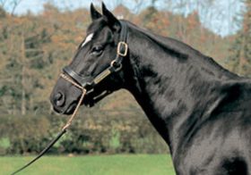 ディープインパクトを超える”予感”を残した弥生賞。『幻の三冠馬』フジキセキの願い